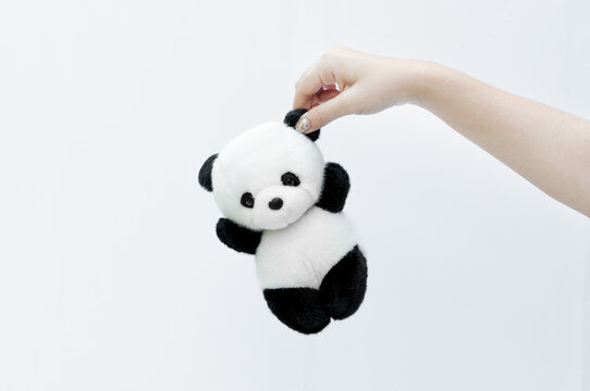 hand holding panda doll, black rim of eyes,panda toy on white background