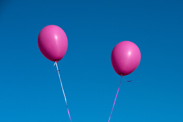 Fototapeta na wymiar two pink balloons fly on blue sky background, copy space