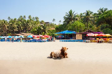 Deurstickers Beach in Goa, India © saiko3p