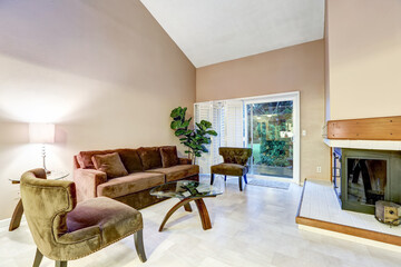 Family room in brown tones with high vaulted ceiling