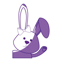 cute bunny icon over white background. vector illustration