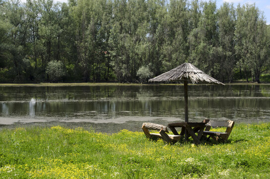 Parasol / Parasol and benches by the river Bosut, Srem, Vojvodina, Serbia