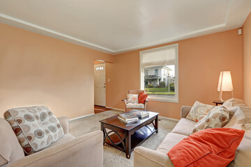 Cozy living room interior with peach walls