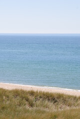 Nordseeküste mit langen Gräsern an einem sonnigen Frühlingstag