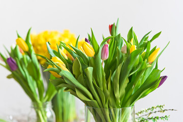 Multicolored tulips flowers bouquet in a glass vase