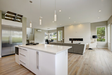 Fototapeta na wymiar Luxury kitchen in a brand new home