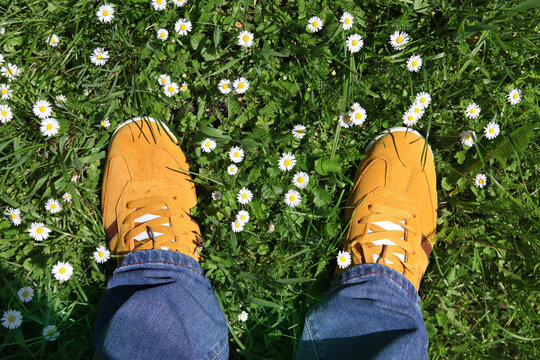sports shoes on green grass