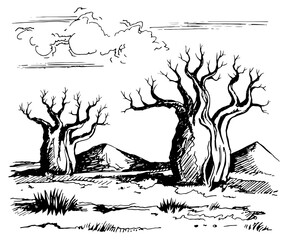 Australia landscape with baobab trees