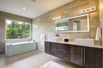 Contemporary bathroom interior