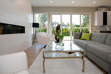 Contemporary style living room