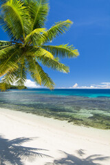 White tropical beach