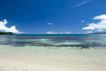 Fototapeta premium Tropical beach and coral reef