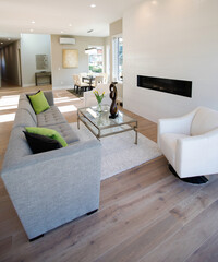 Contemporary style living room