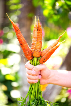 Farmer with a carrot.