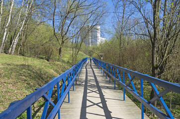 Footbridge over the marshy ravine.