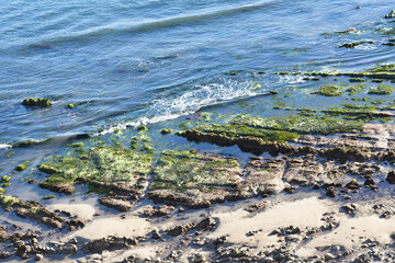 Tidepools along beach