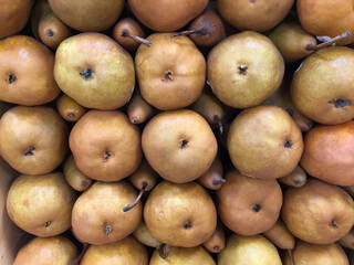 Pears
