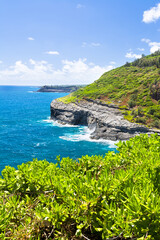 Seabird habitat Kauai Hawaii