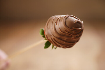 chocolate covered strawberry on wood stick, shallow focus