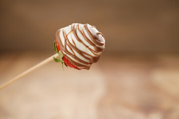 chocolate covered strawberry on wood stick, shallow focus