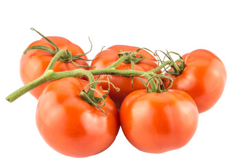 Tomatoes bunch isolated on white background close up.