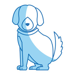 cartoon sitting dog with collar, pet family vector illustration.