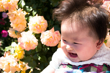 Rose and japanese baby / Six months after birth