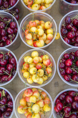 Cherries at the farmers market