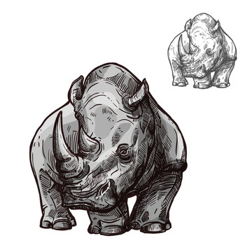 Rhino animal isolated sketch of african rhinoceros