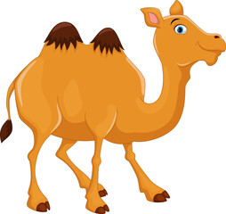 Illustration of cute camel cartoon isolated on white background