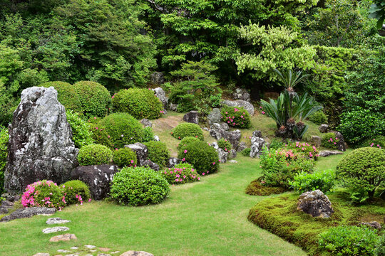Fototapeta 日本庭園　龍潭寺訪れる