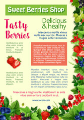 Fototapeta na wymiar Fresh berry, fruit, healthy food poster template