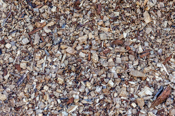 Tree Bark 