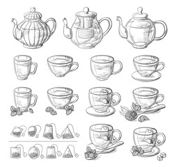 Collection of tea leaves and teapot. Green, black, Pekoe tea in graphic style, hand-drawn vector illustration
