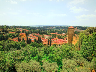 Fototapeta na wymiar Green Tuscany