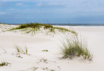 Tropical white sandy beach sand dunes of Gulf Coast shoreline.  Beautiful scenic travel destination location.  Florida, Alabama beaches.