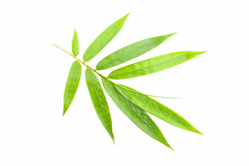 Naklejka premium bamboo leaf on white background.