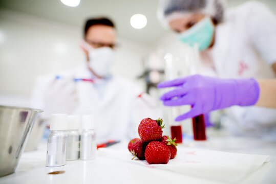 Doctor And Nurse Doing A Research On GMO Fruit. Testing Strawberries Chemical Specifications.