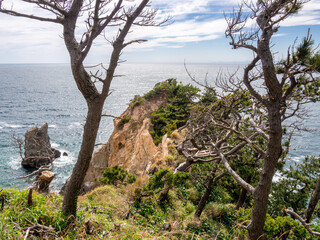 西伊豆黄金崎の風景