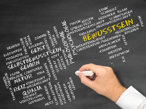 Bewusstsein