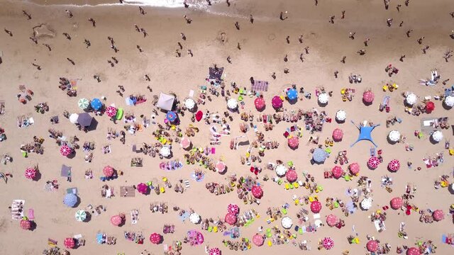 Tropical beach with colorful umbrellas - Top down aerial view