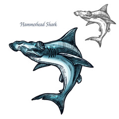 Hammerhead shark fish vector isolated sketch icon - obrazy, fototapety, plakaty