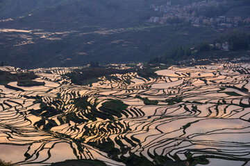 Colourful reflexes in Yuanyang rice terraces UNESCO Cultural World Heritage Site in Yunnan, China