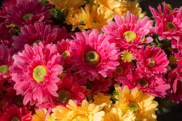 Pink plastic flowers