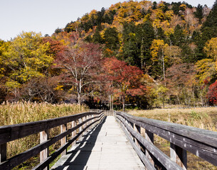 Fall colors in Nikko-Yumoto, part of Nikko National Park