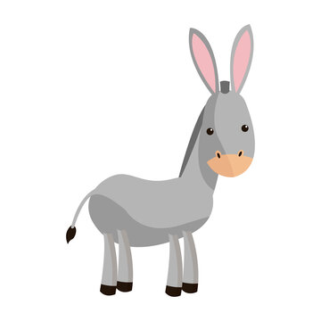 cute donkey cute cartoon manger image vector illustration