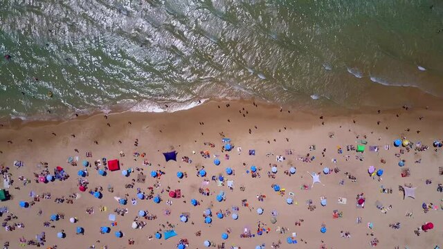 Tropical beach with colorful umbrellas - Top down aerial view