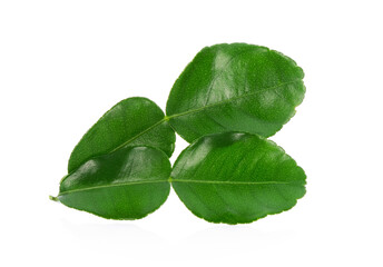 Green leaf, Bergamot leaf isolated on white background