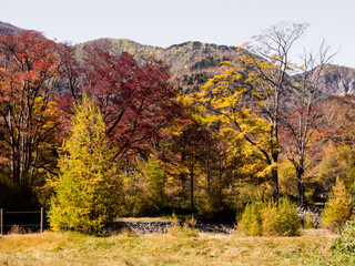 Fall colors in Nikko-Yumoto, part of Nikko National Park