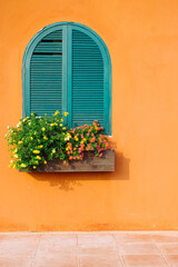 Fototapeta na wymiar The color of window and wall inspired by Moroccan Style, Beautiful flower and window